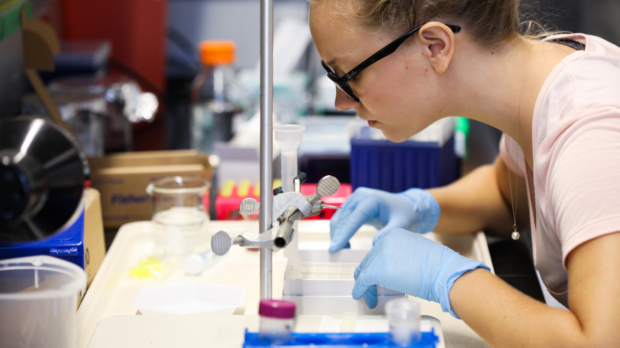 Biology, B.S. Biomedical Sciences track Hero Image