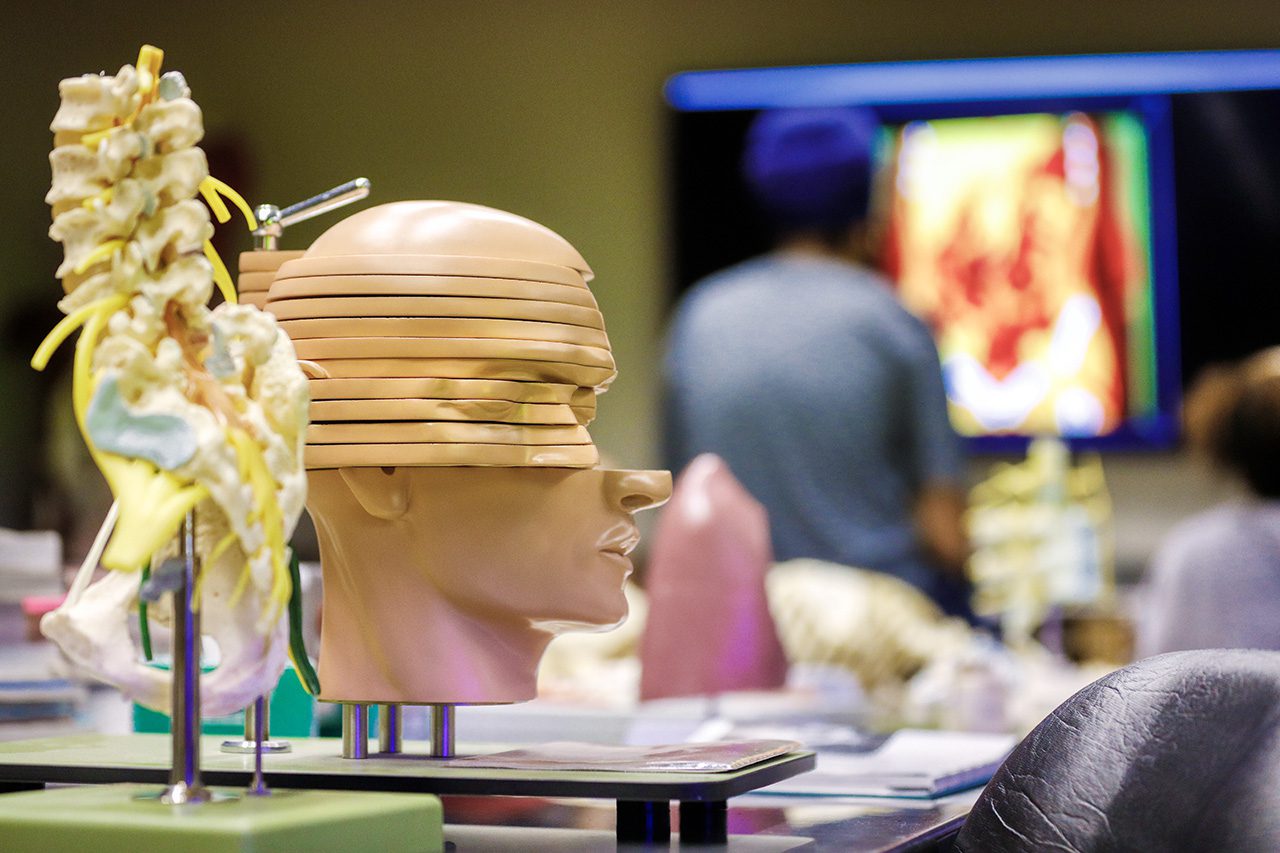Neuroscience Major Hero Image