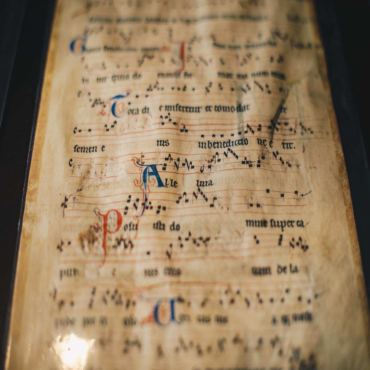 Sheet Music Manuscript studied my music performance majors