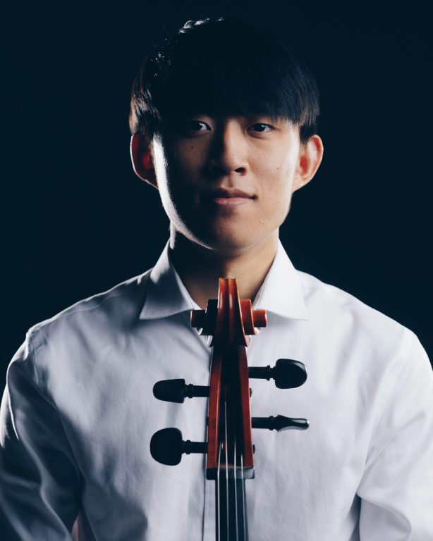 Violinist 