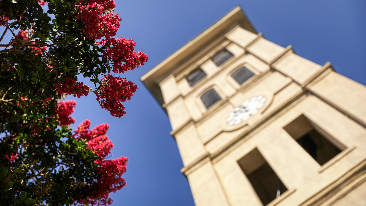 Considering Furman?