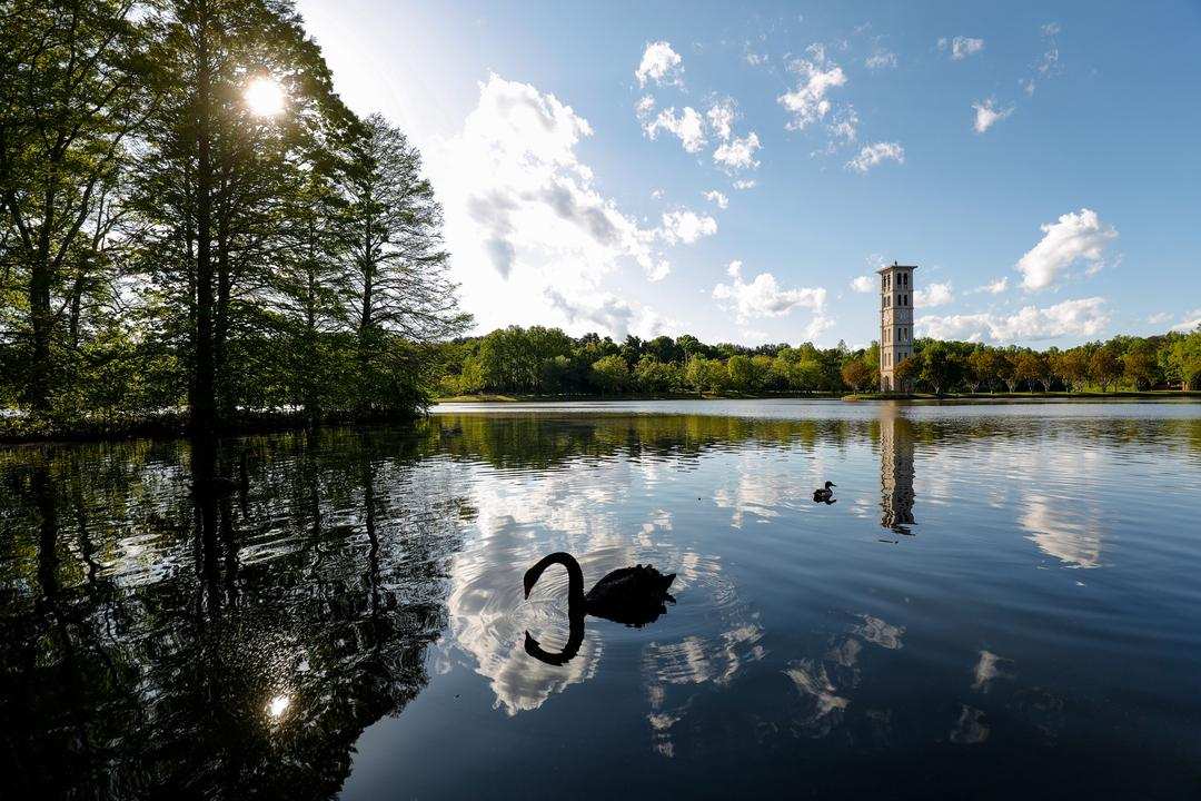 Furman News