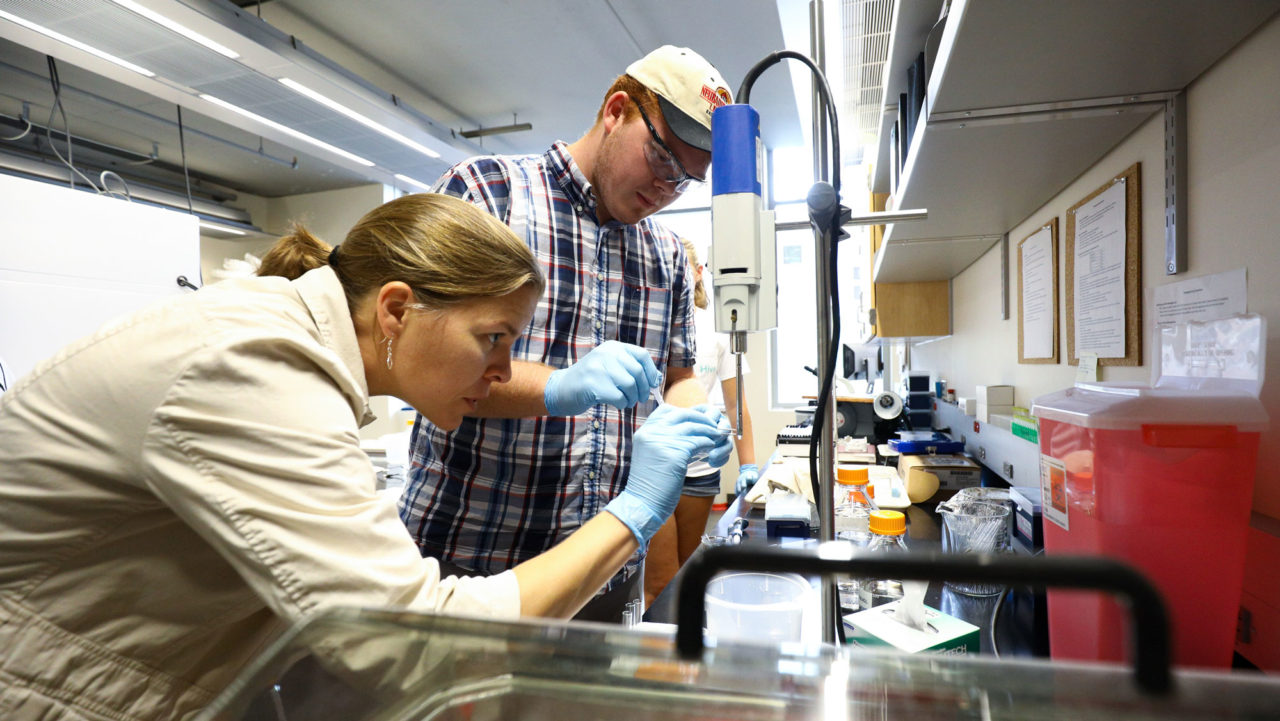 Faculty Research 