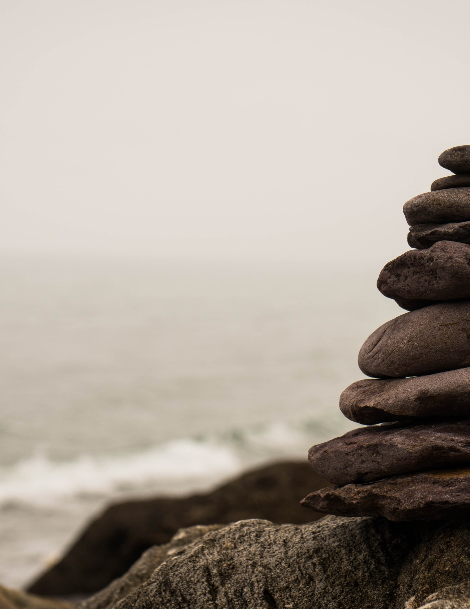 Mindfulness Based Stress Reduction Course for Alumni