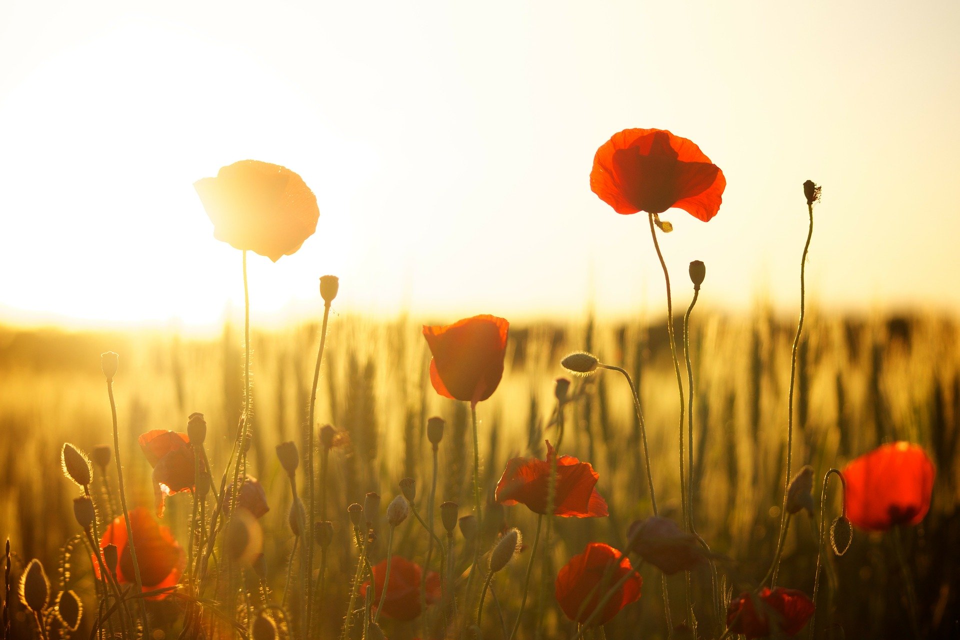 Dealing with Grief and Loss