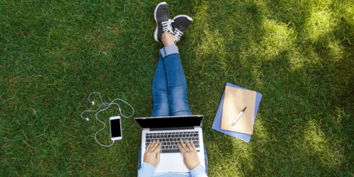 Preparing Your Platforms &amp; Students for FurmanFlex and Online Learning