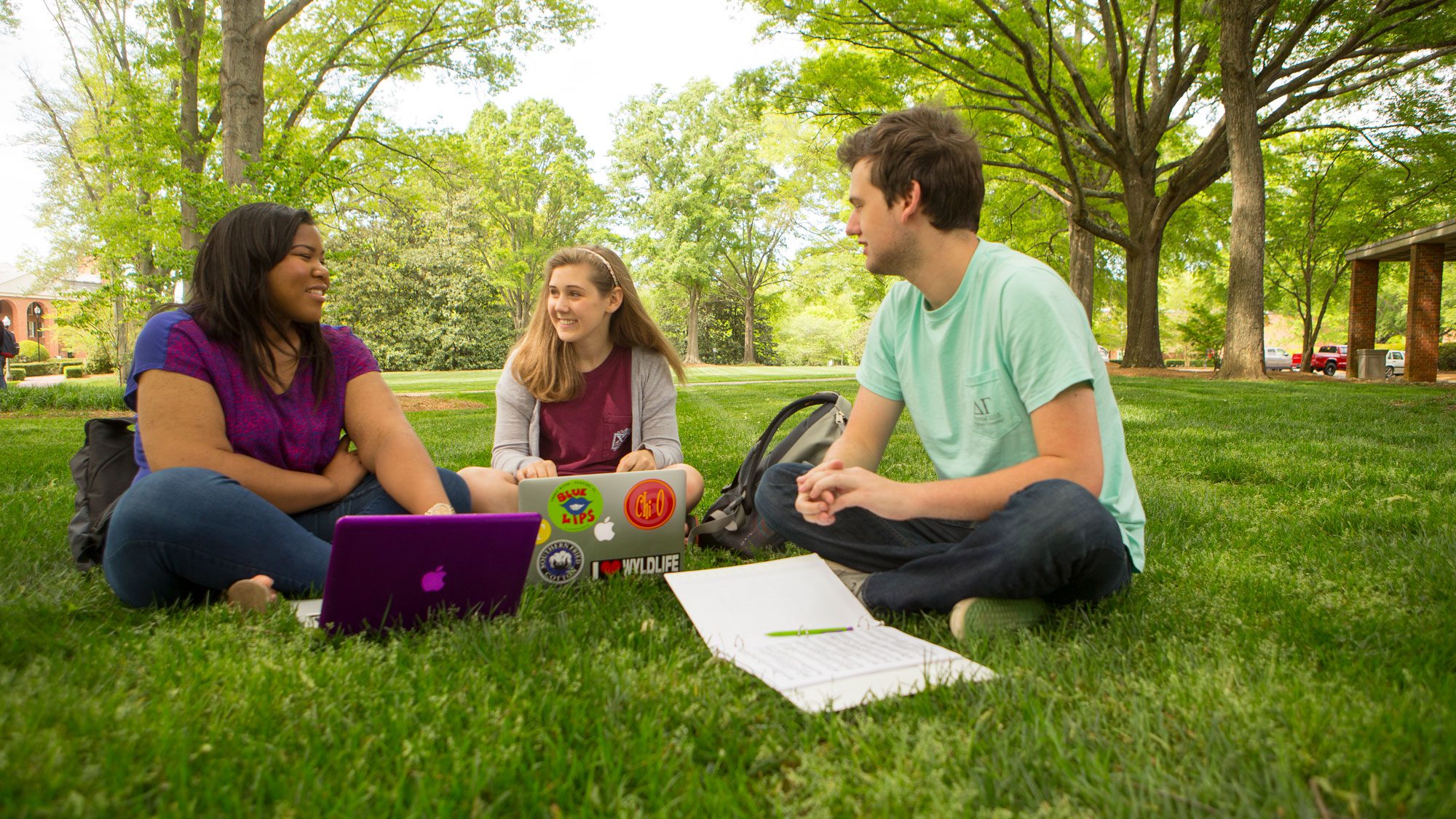 Scholarship Support
