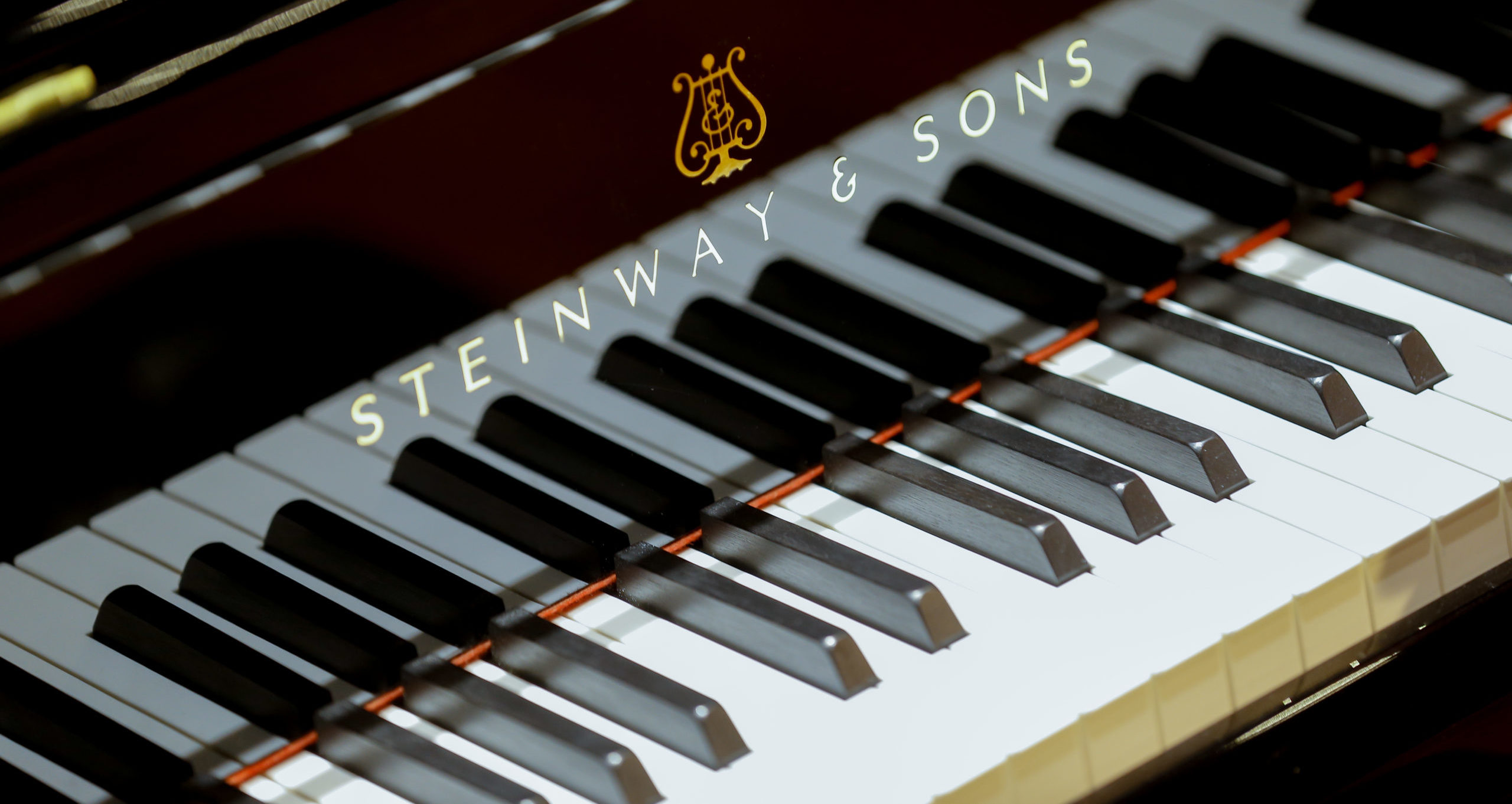 Pianos for Paladins