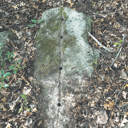 a rock with a petroglyph in the dirt