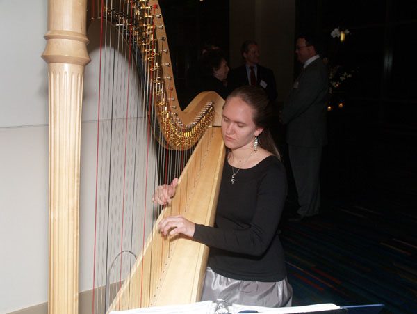 The harpist played during the reception