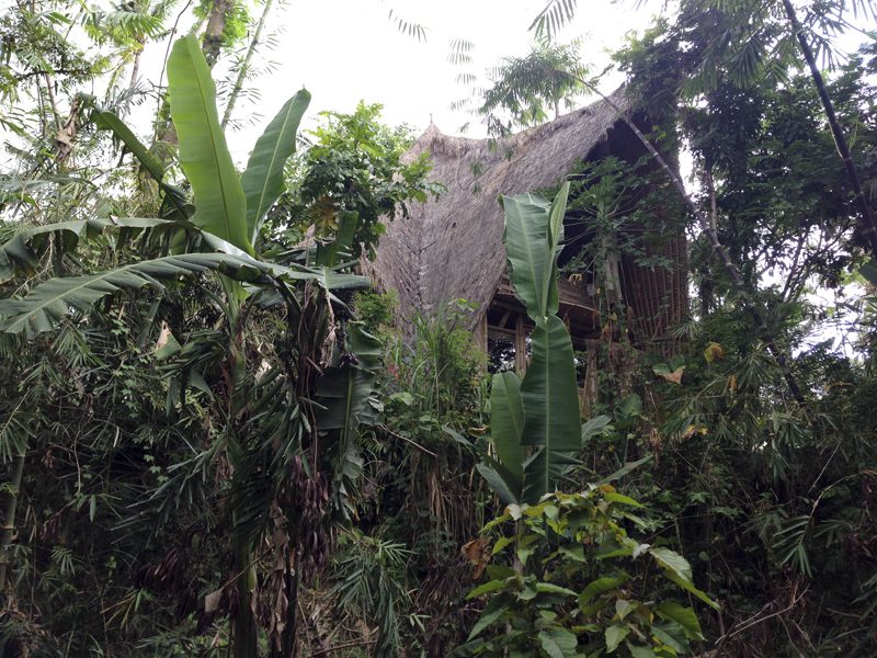 The Green School