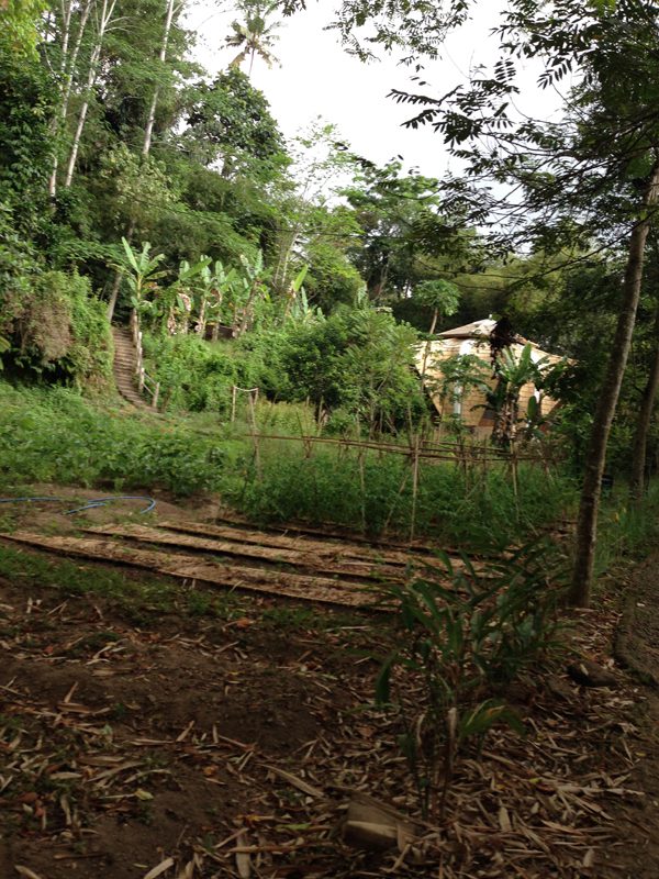 The Green School