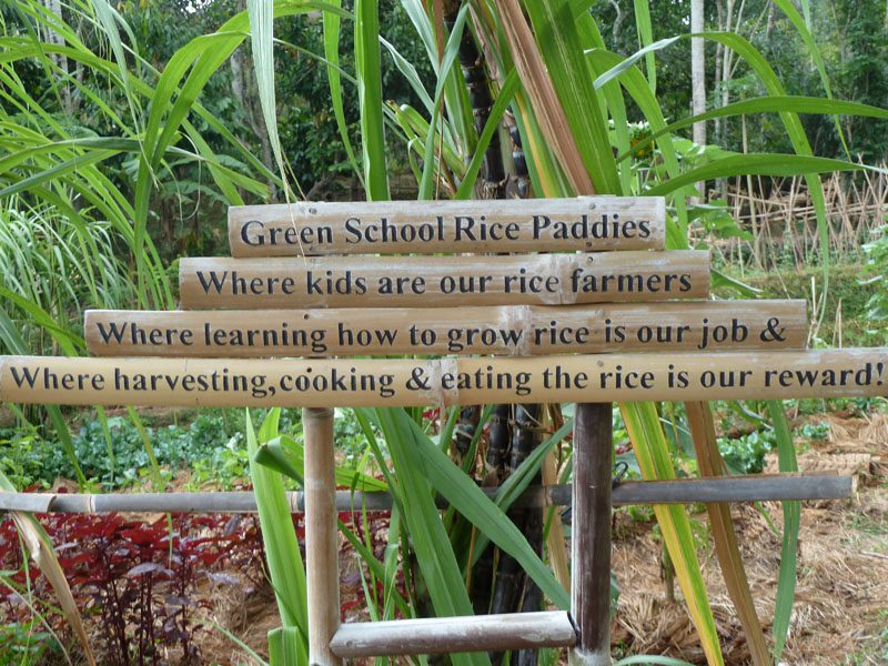 The Green School
