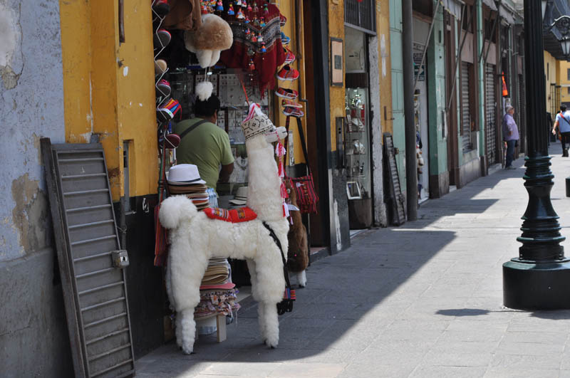 Shops in Lima