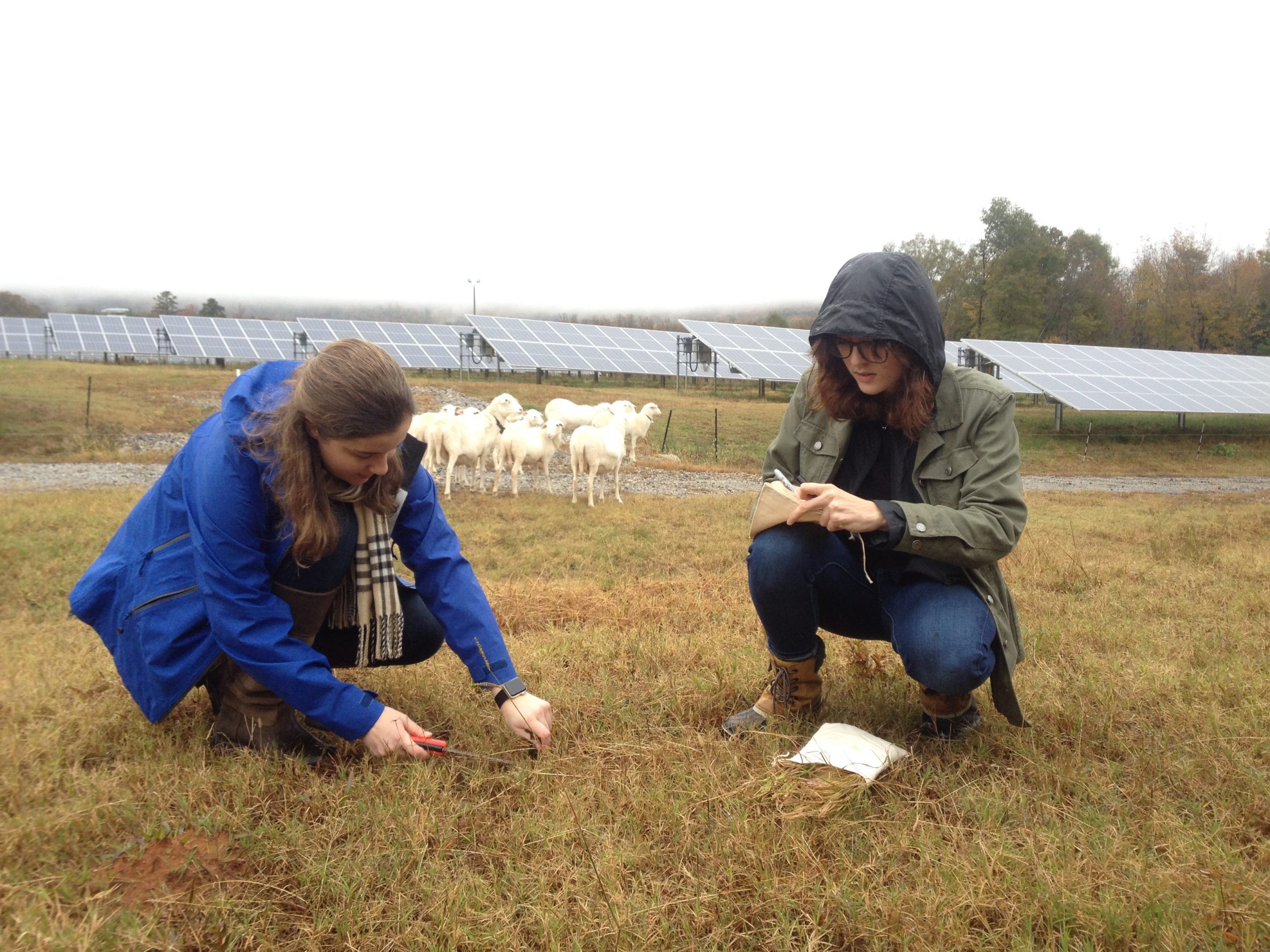 Applied Sustainability Research