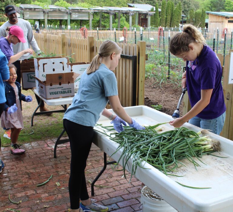 Furman Farm 2024