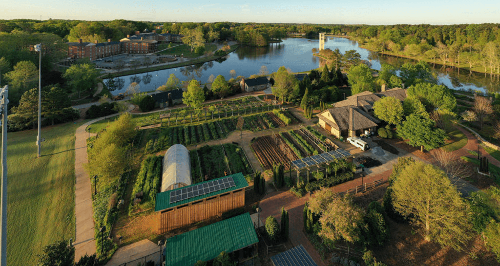 The Furman Farm